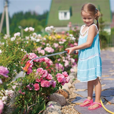 די 20 מיטל מזרח דובאַי נאַסעקס וואַסער באַהאַנדלונג פער